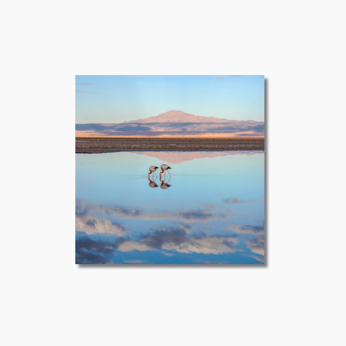 Atacama Reflections - Gallery Twelve