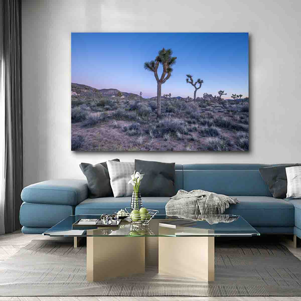 The Silhouettes of Joshua Tree- Gallery Twelve